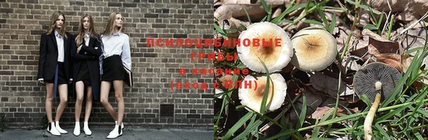 Альфа ПВП Заволжск