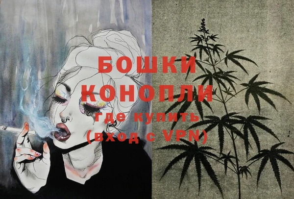 спайс Заречный