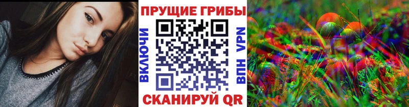 магазин продажи   Знаменск  Псилоцибиновые грибы Magic Shrooms 