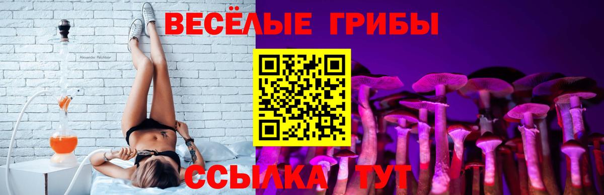 Знаменск  Псилоцибиновые грибы Psilocybine cubensis  Вход с VPN  даркнет сайт  Галлюциногенные грибы мицелий 