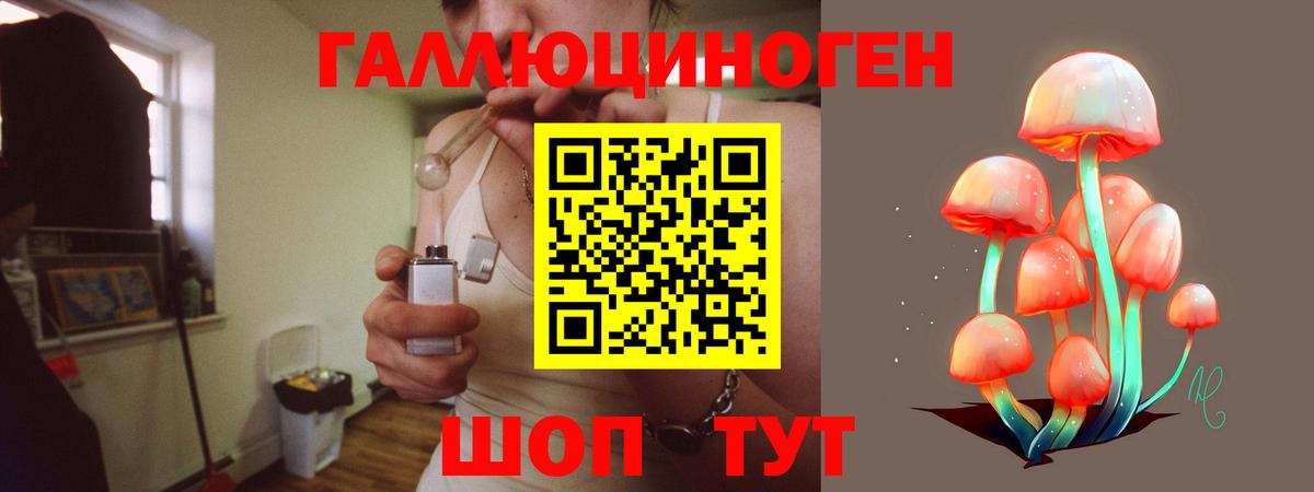 Псилоцибиновые грибы мицелий Знаменск